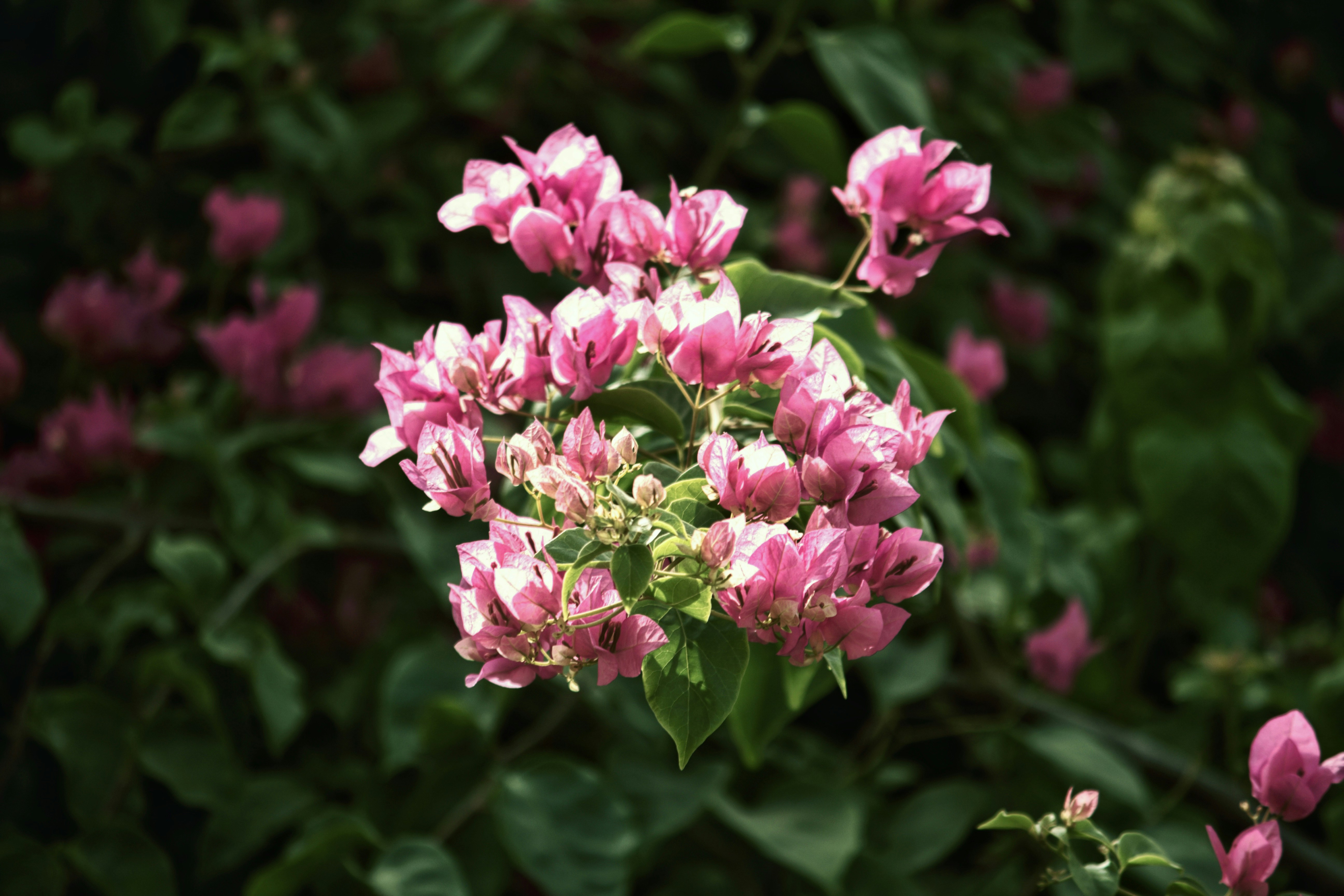 Photo by rachit_1108