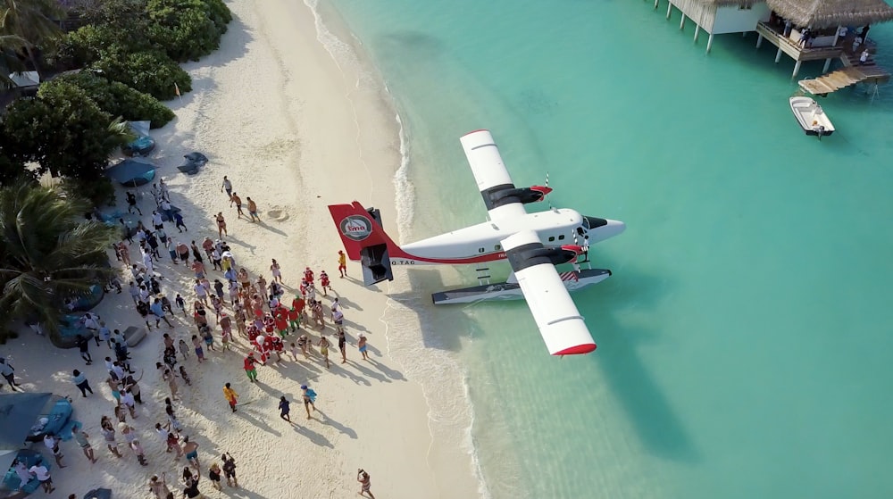 white and red airplane in seashore