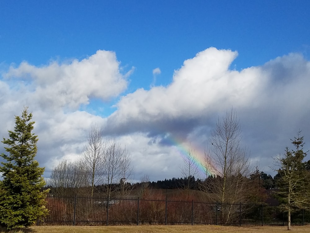 photo of a rainbow and clouds