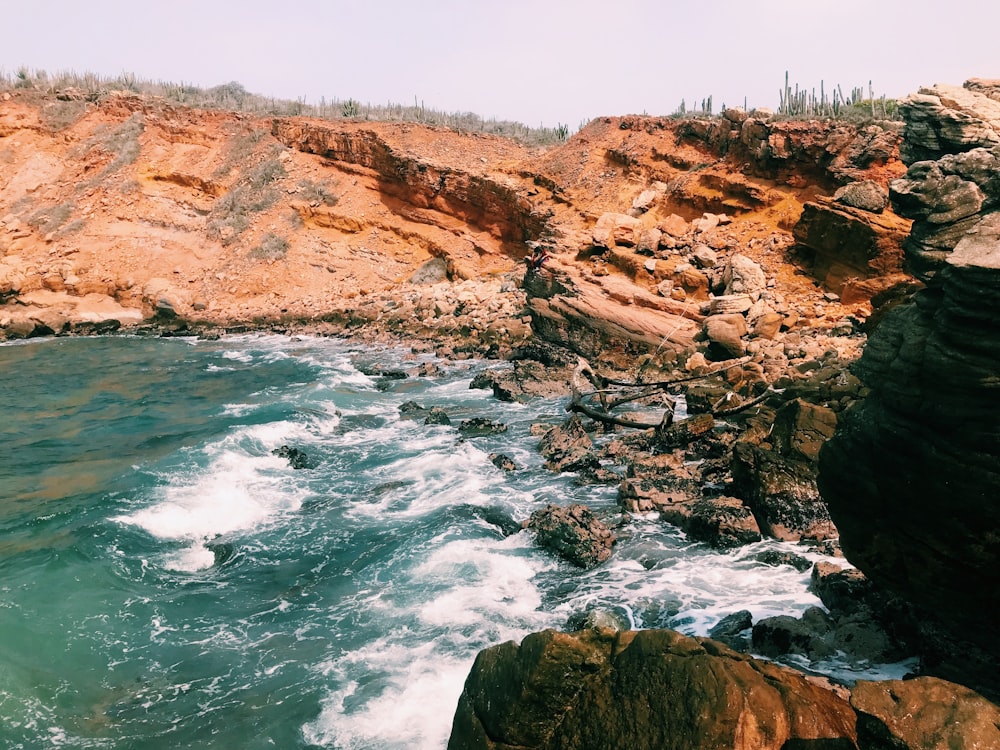 landscape photo of a riverside