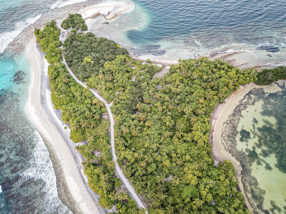 bird's eye view of an island