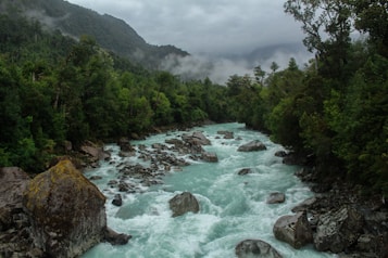 A river with turquoise water flows through a lush, mountainous forest landscape. Large rocks and boulders protrude from the river, which is surrounded by dense green foliage. Mist and clouds hang low over the forested hills, adding to the serene and untouched atmosphere.