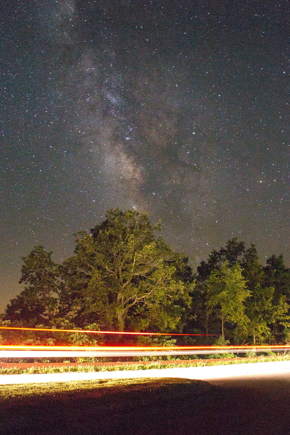 green trees during nighttime