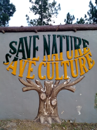 A mural depicts a tree with a trunk and branches, creatively painted on a textured wall. Above the tree, large, bold letters read 'SAVE NATURE SAVE CULTURE' with the words 'NATURE' and 'CULTURE' prominently displayed in green and yellow, respectively. The background features a natural setting with trees visible above the wall.