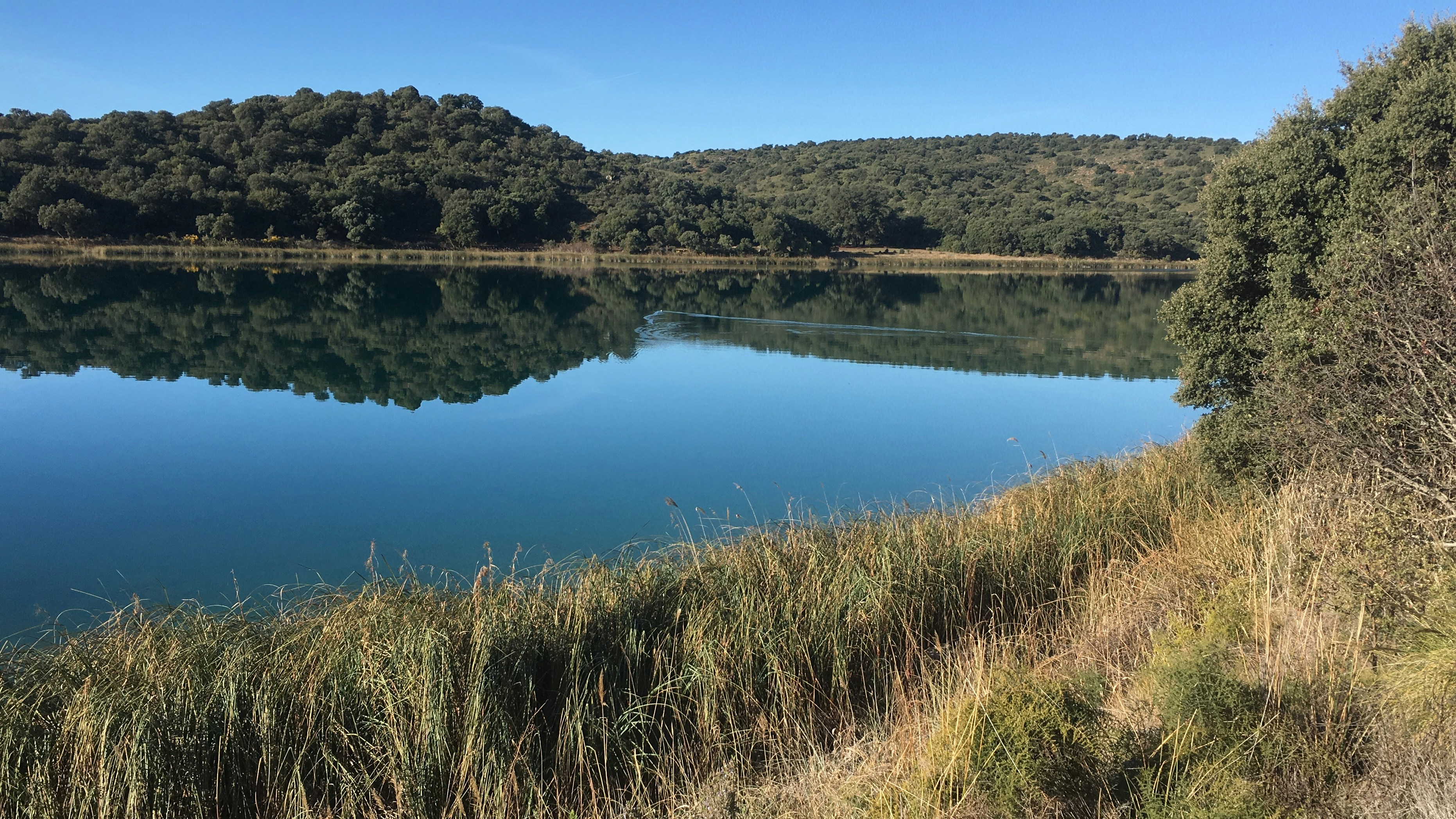 Photo by pinedosergi