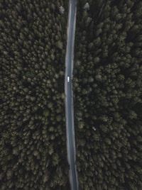 aerial photography of white vehicle on street