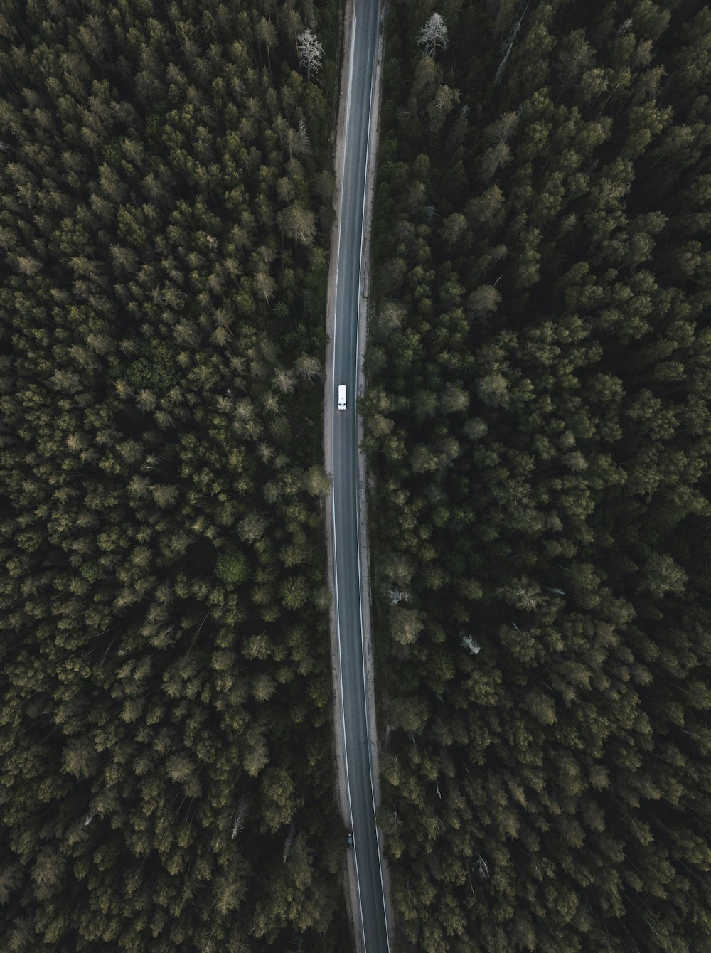 aerial photography of white vehicle on street