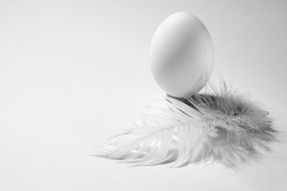 white egg