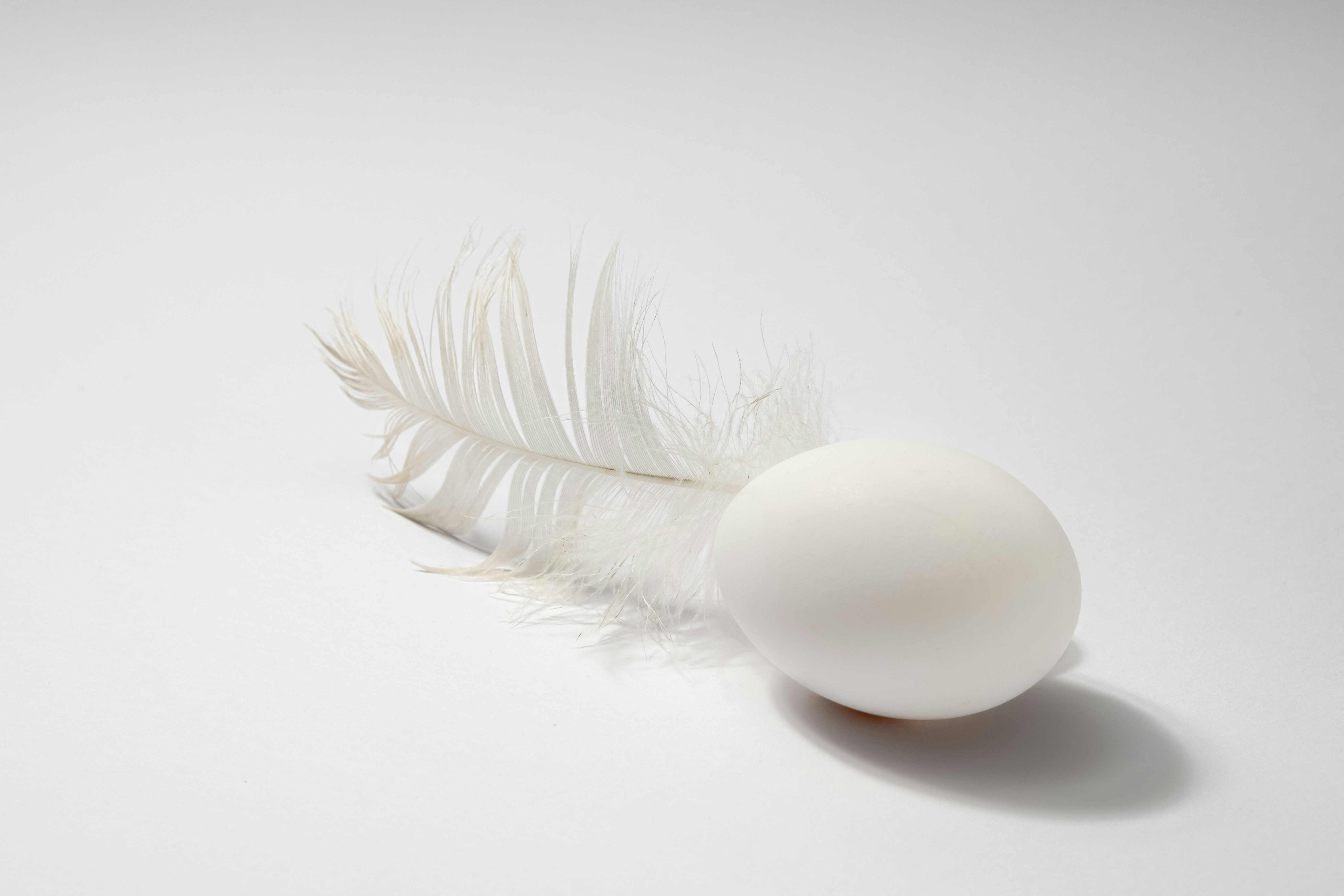 Photo by enricosottocorna