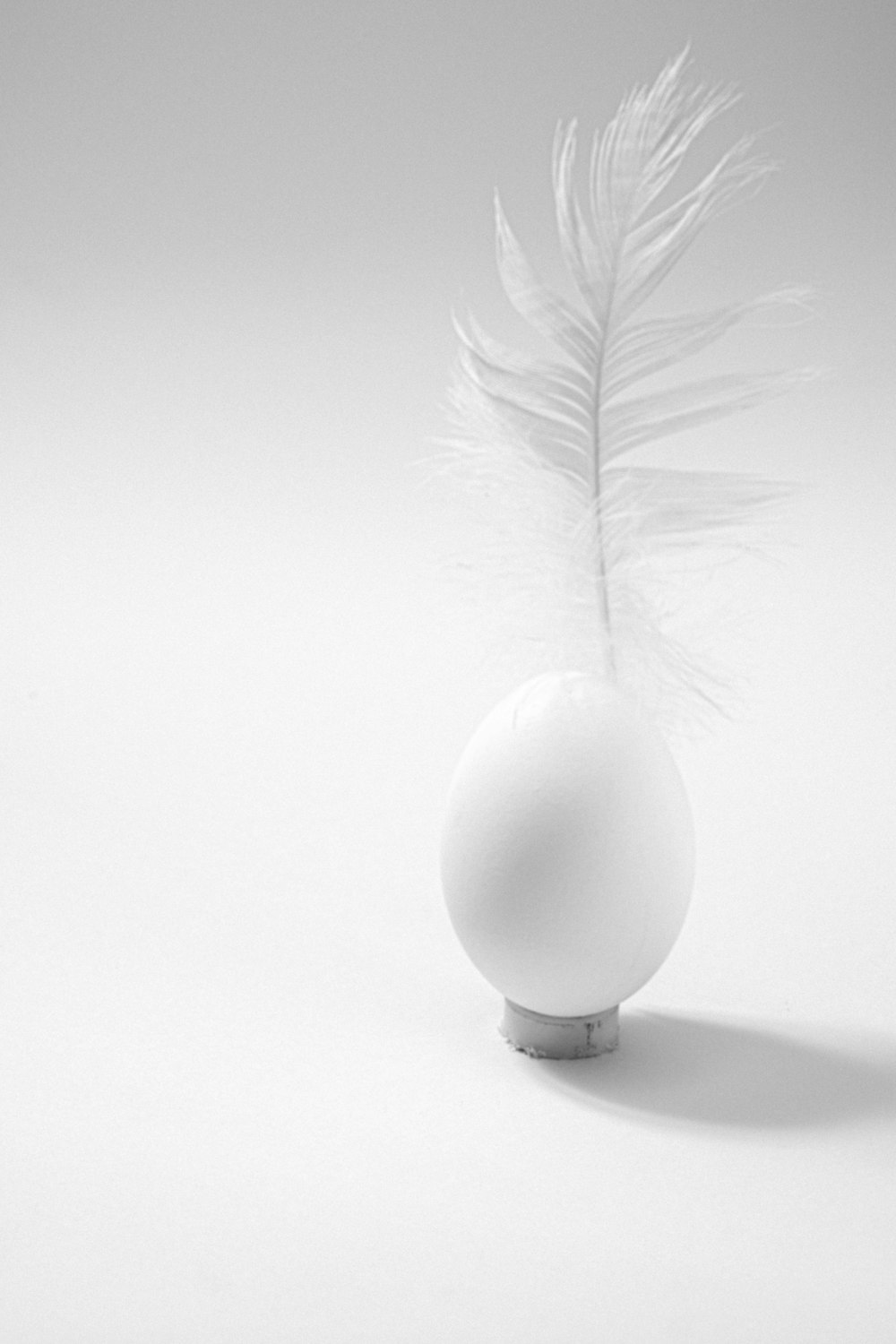 white feather beside white decorative egg