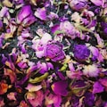 A vibrant collection of dried rose petals and buds in rich shades of purple and pink, layered over a bed of dried tea leaves or herbs. The composition creates a textured, colorful display with a natural, rustic appearance.