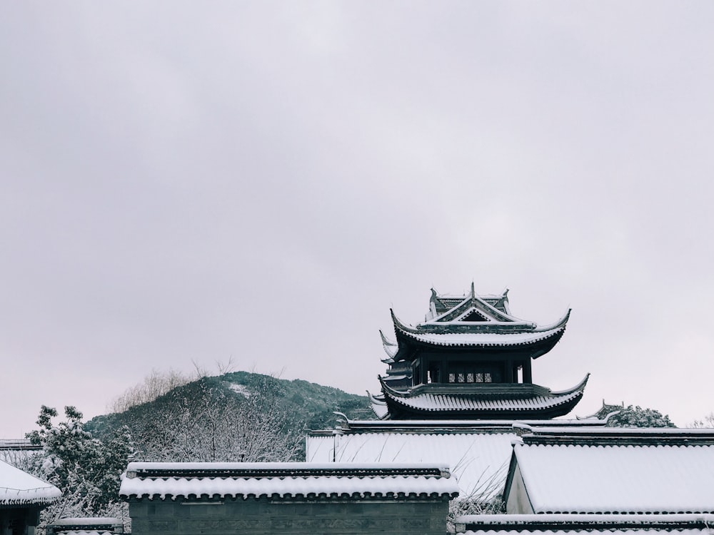 pagoda durante la stagione invernale