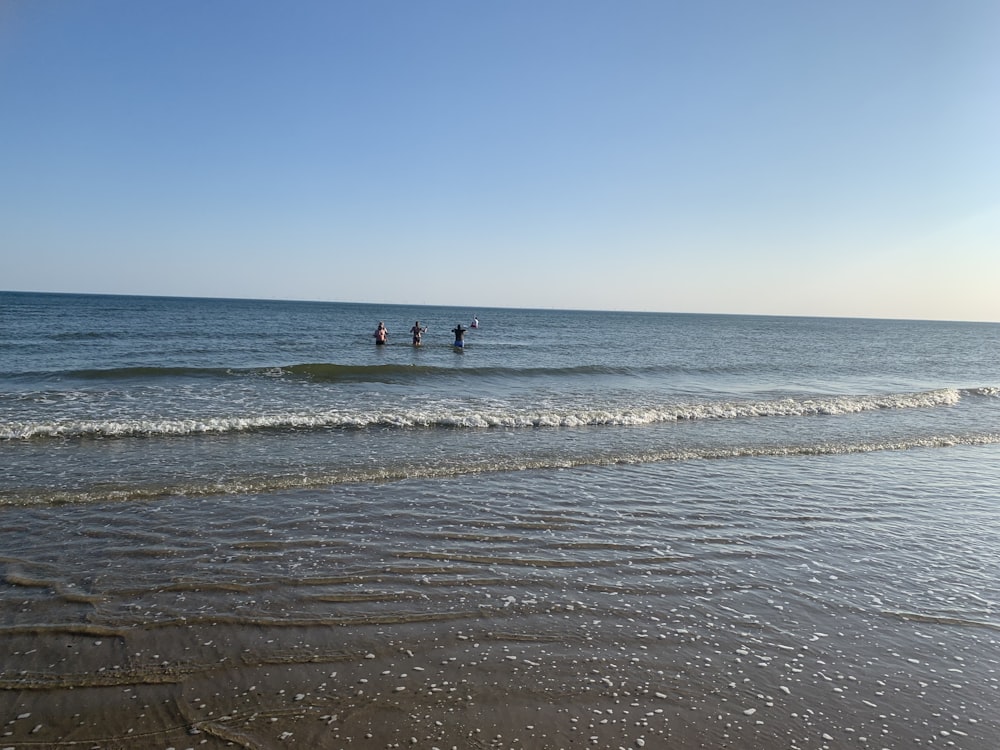 people playing in water