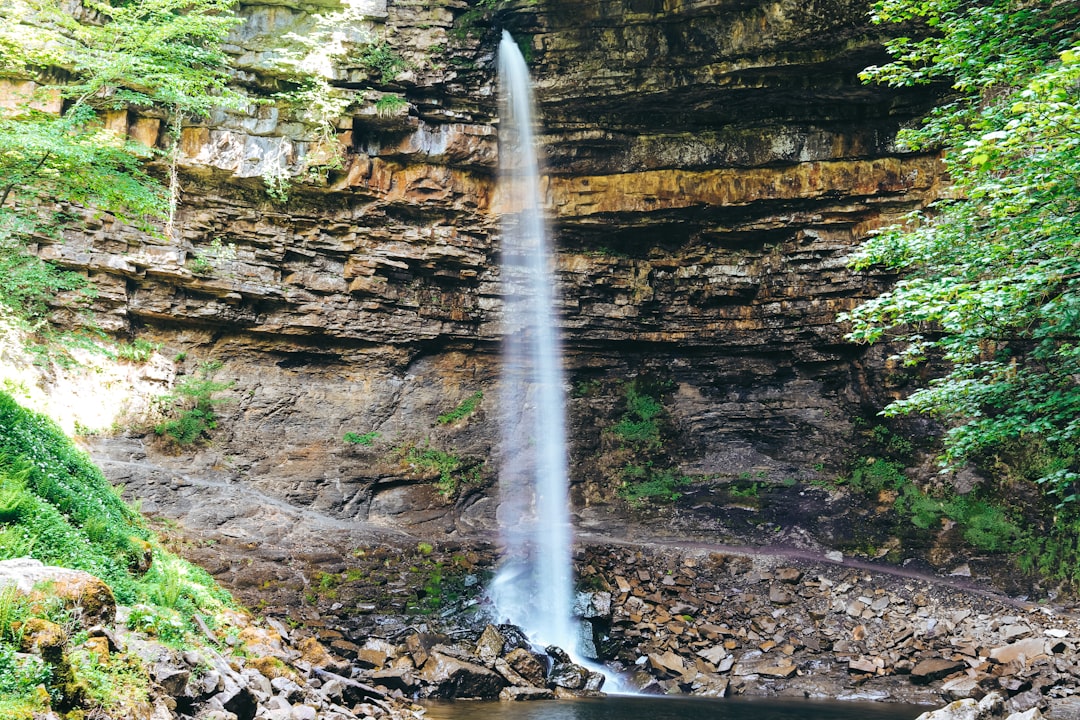 waterfalls surrounded by trees