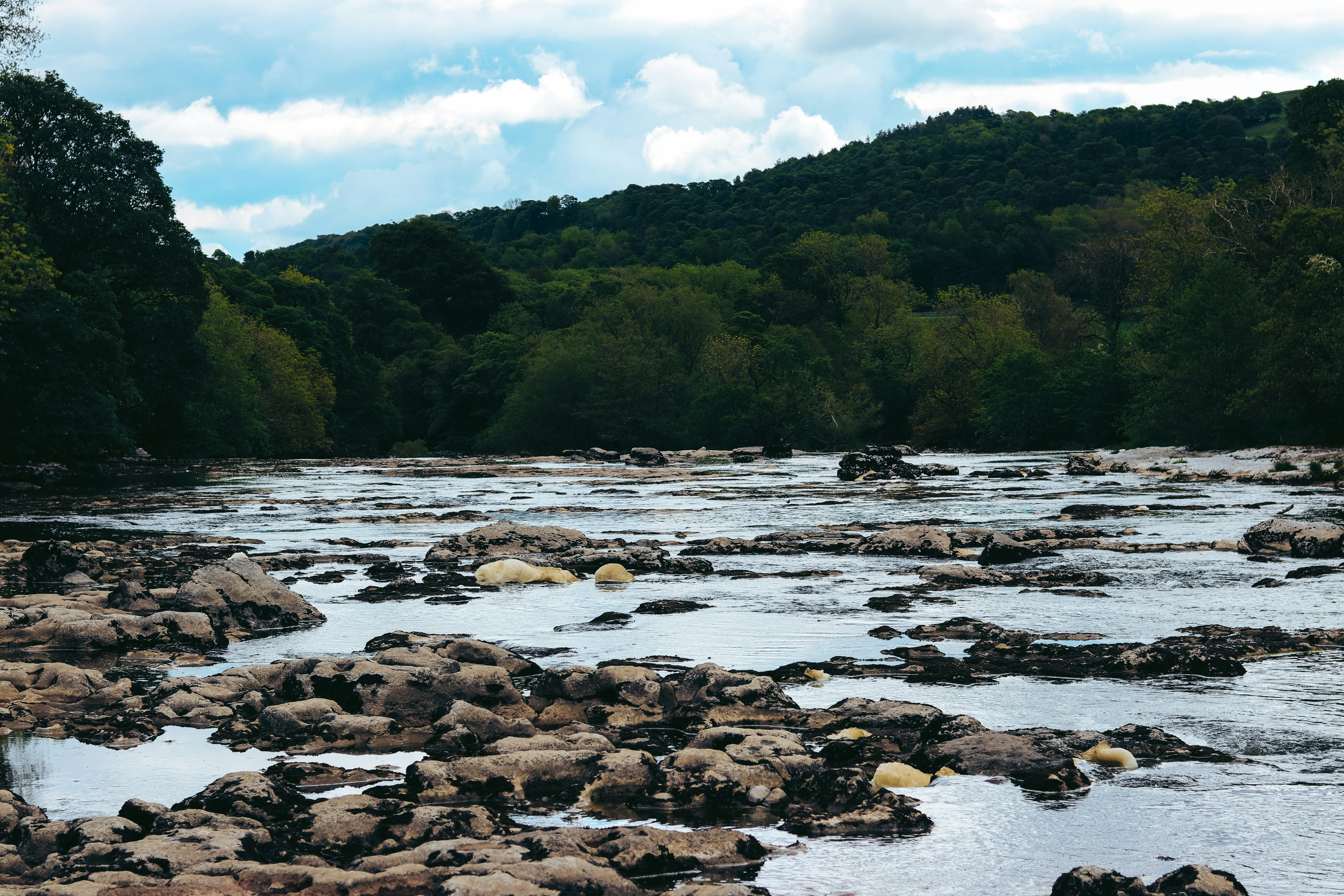 La Crosse River State Fishery Area