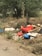 A pile of assorted garbage and debris, including colorful bags and a discarded stuffed toy, is scattered along a roadside surrounded by dry grass and trees.