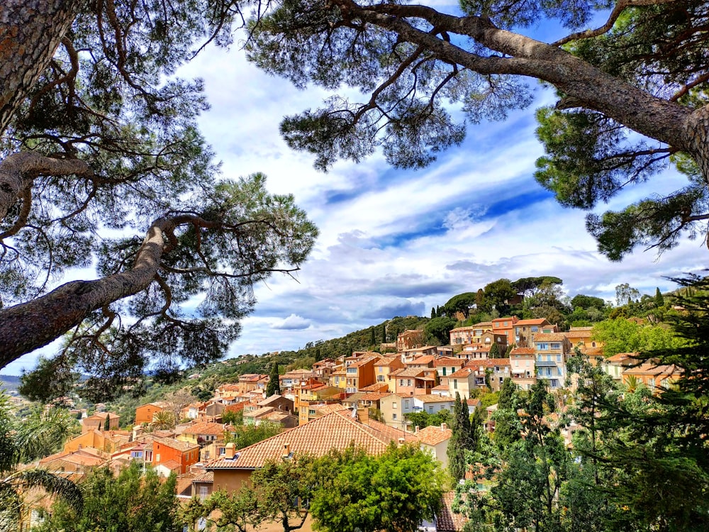 houses under blue sky