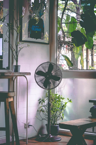 black pedestal fan near glass window