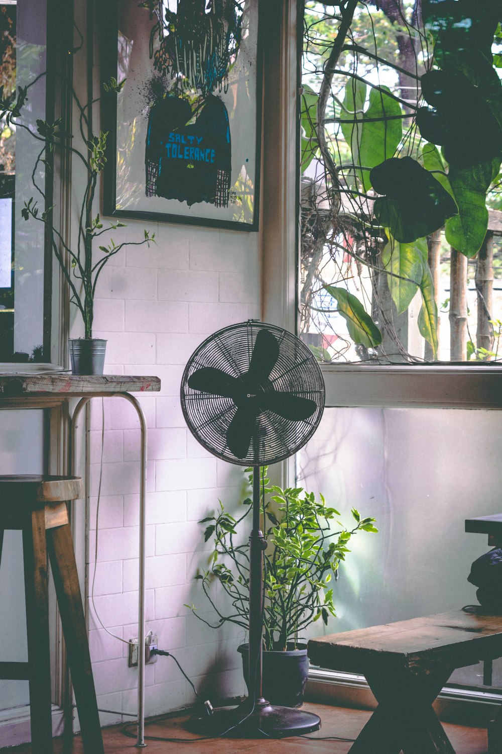 black pedestal fan near glass window