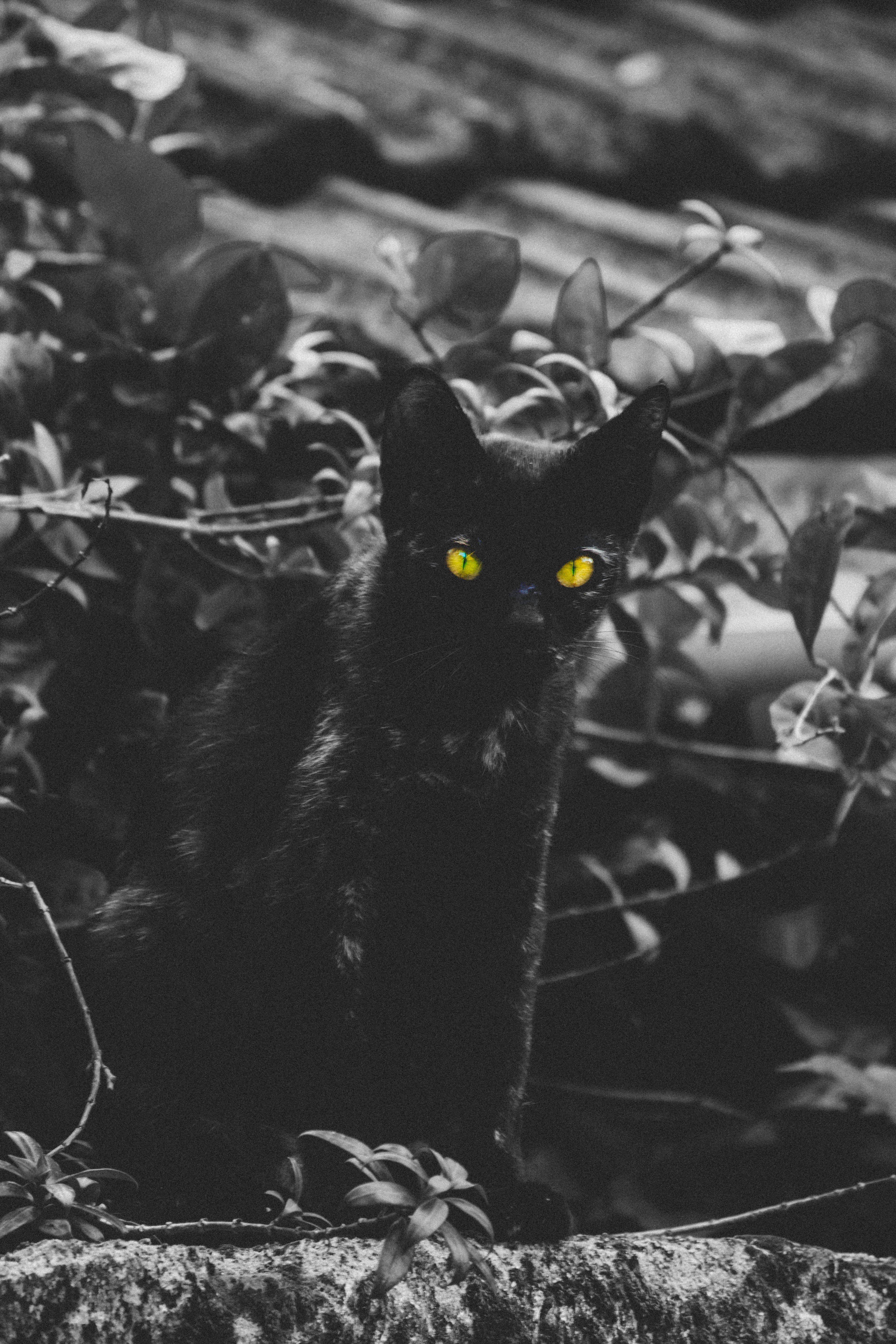 Photo by beingabstrac