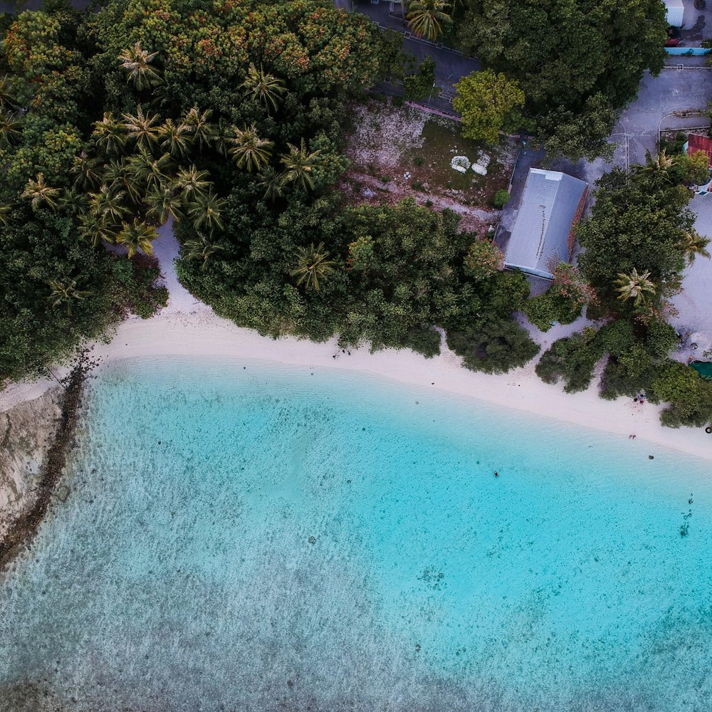 an aerial view of a tropical island with blue water