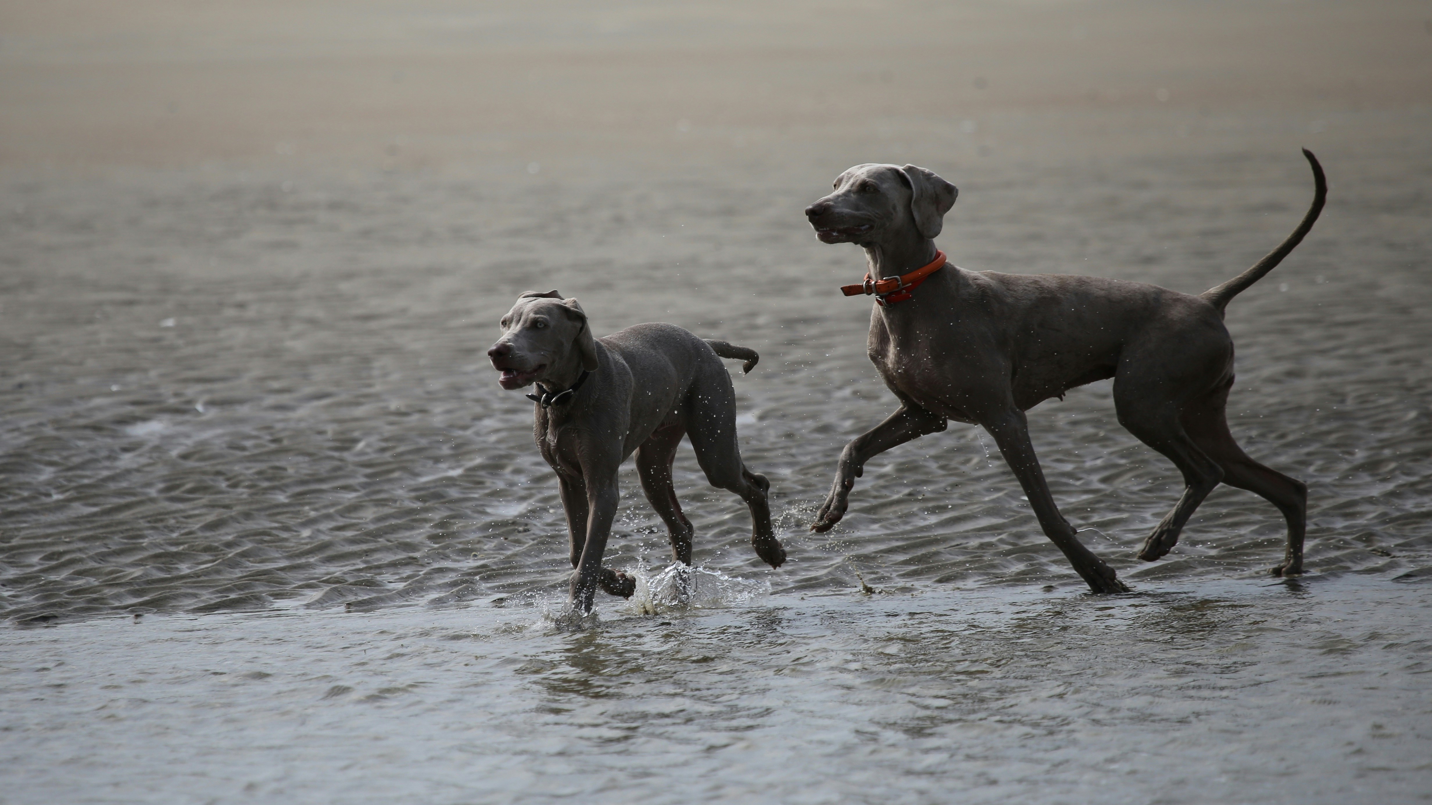 Photo by nathalie_spehner