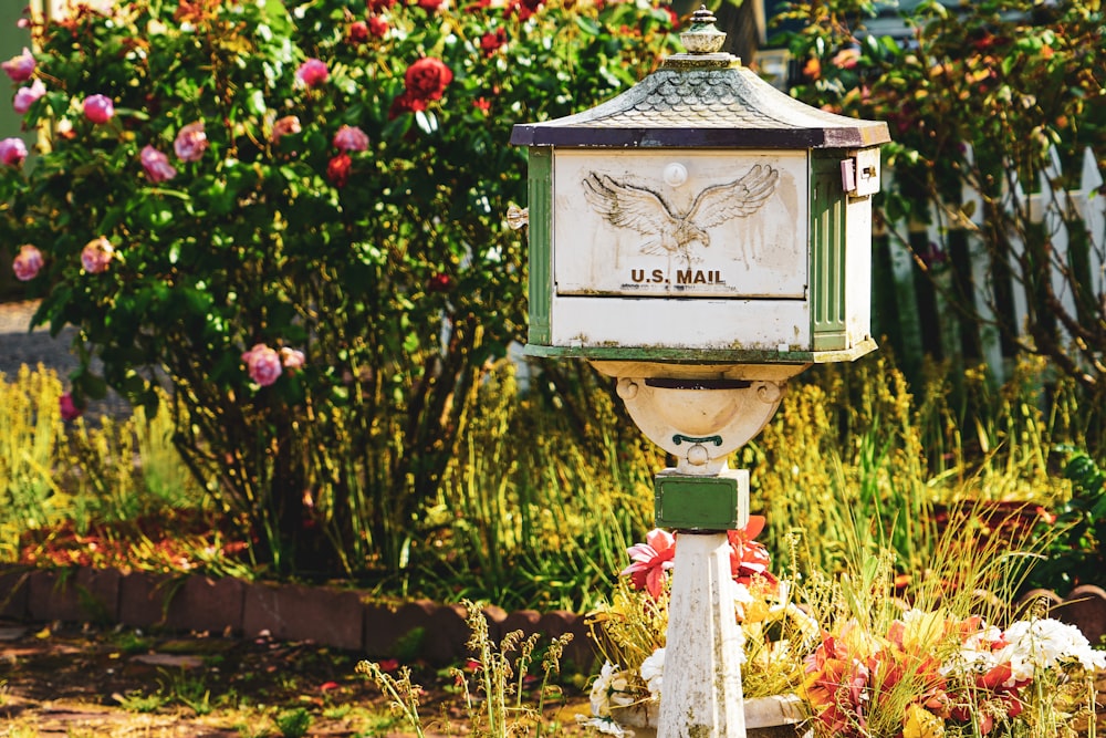 buzón de pedestal de correo de EE. UU. blanco y verde cerca de las flores