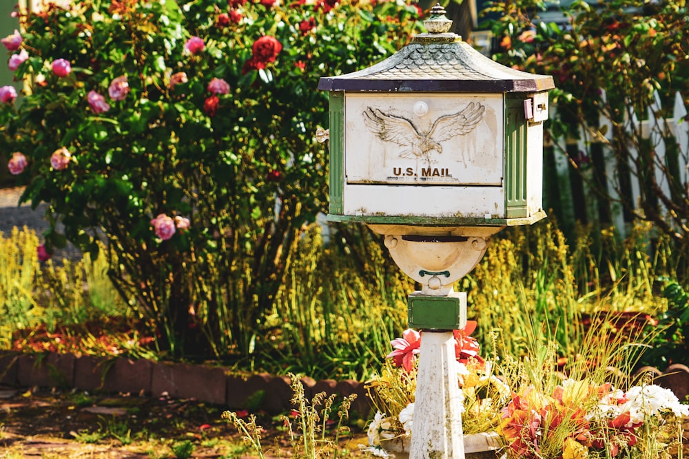 white and green US Mail pedestal mailbox near flowers