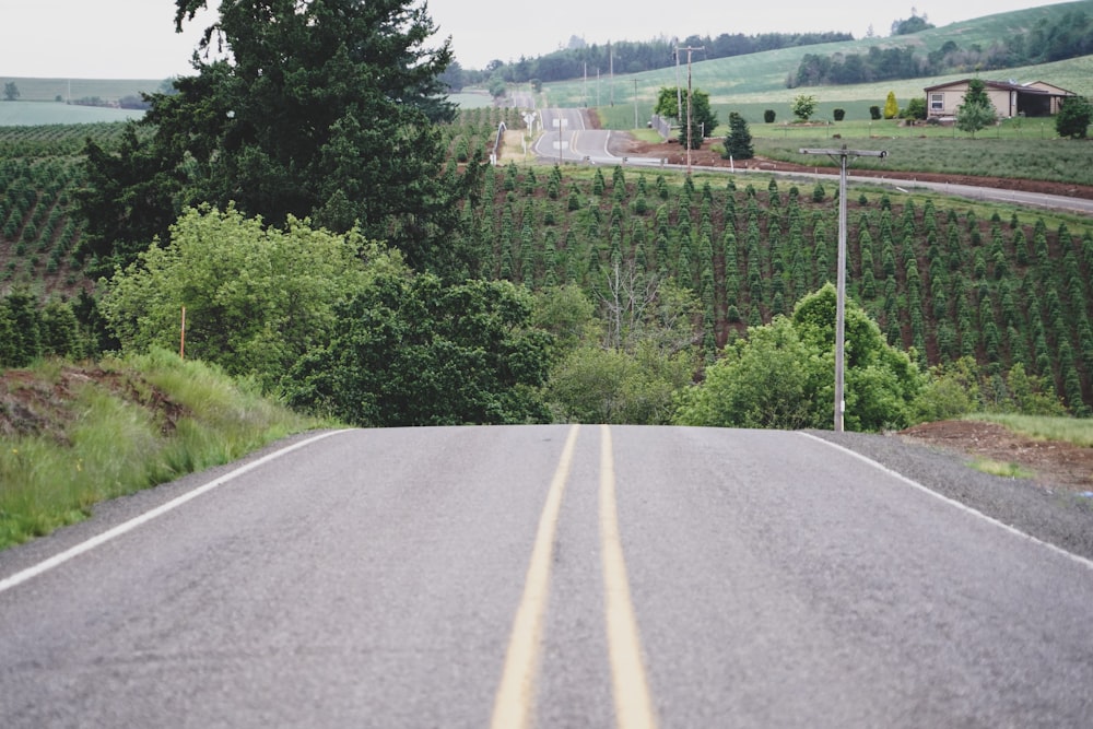 empty road near tree near fields during daytime