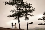 Cinematic wide shot of a couple walking hand in hand along a misty path at sunset.