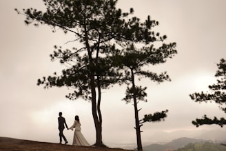 Cinematic shot of a couple walking hand in hand through a misty forest at dawn.