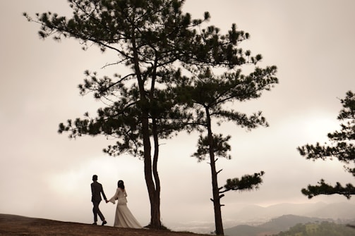 A wide shot of a couple walking hand in hand through a misty forest.