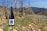 A bottle of wine with a blue cap and label stands on rocky soil between rows of dormant grapevines. The vineyard extends into the background, with hills visible under a clear blue sky.