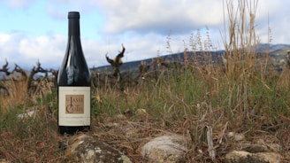 A close-up of a rustic wine bottle resting on a wooden barrel in a sunlit vineyard.