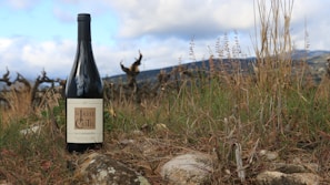 Elegant wine bottle case displayed in a scenic outdoor setting.