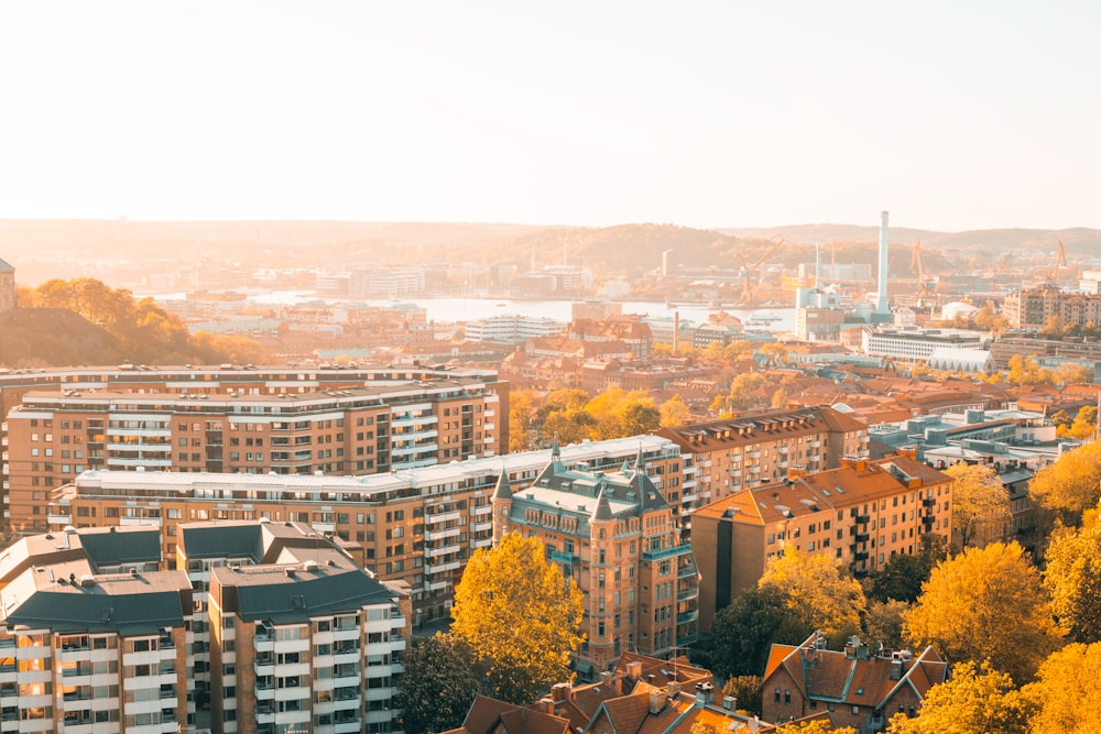 aerial view of buildings during daytime