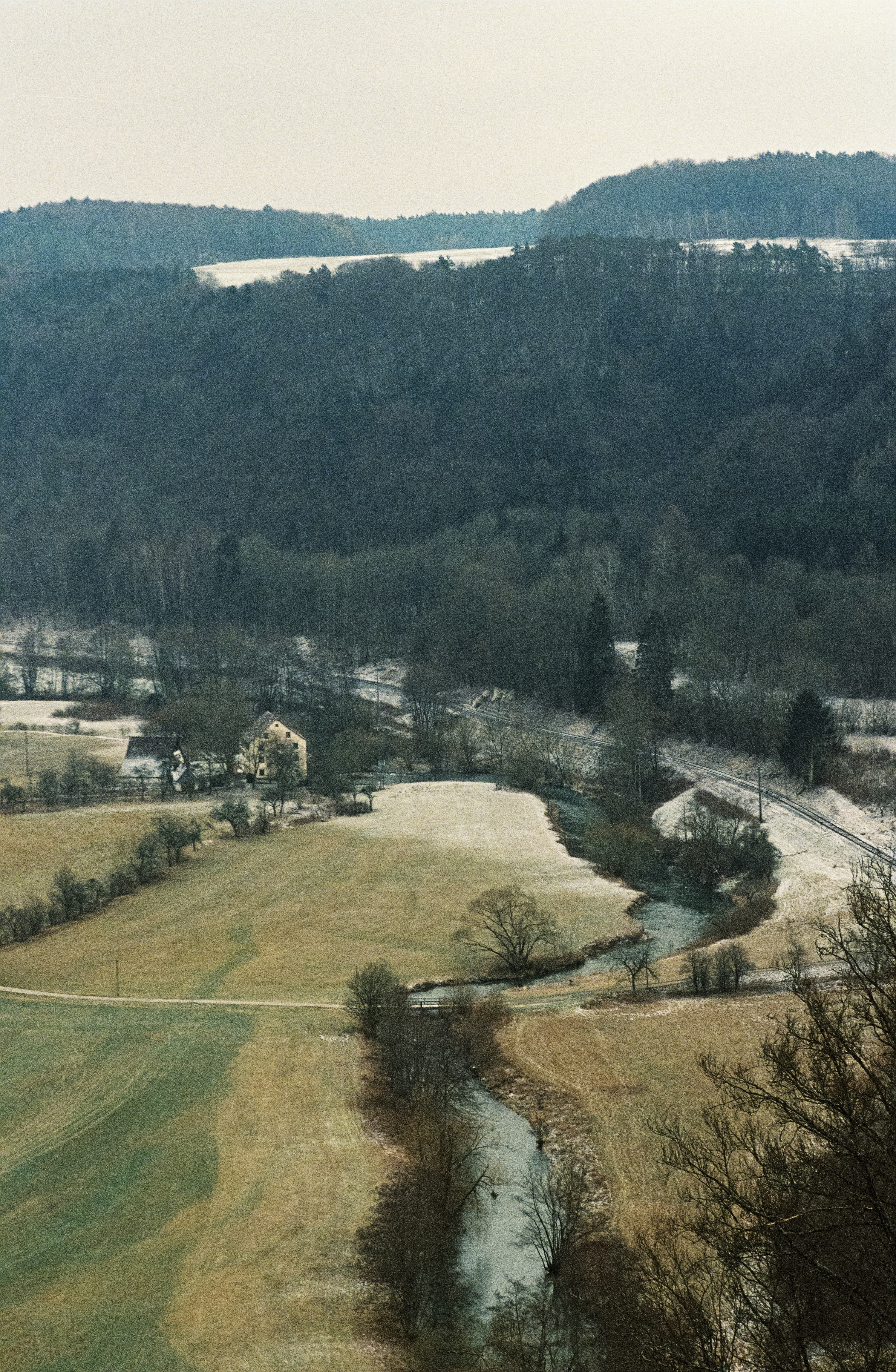 Vue aérienne des arbres pendant la journée