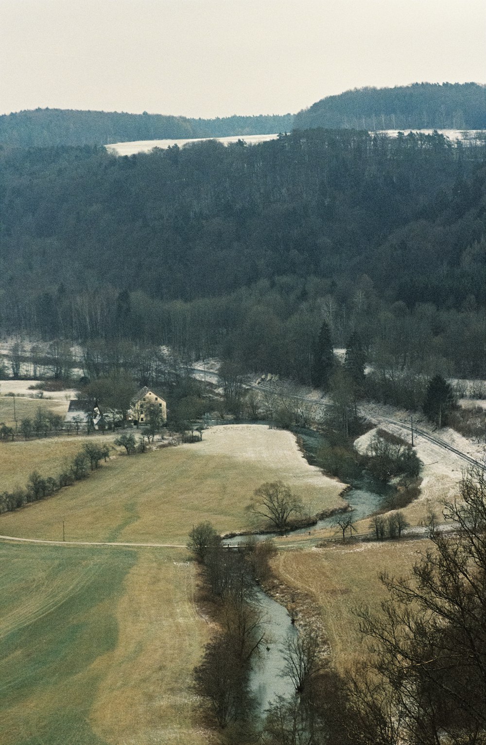 aerial view of trees during daytime