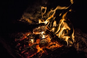 Glowing embers and flames dance around charred wood, creating a vivid and dynamic display of fire. The heat and energy radiate from the burning logs, casting flickering shadows.