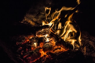 Glowing embers and flames dance around charred wood, creating a vivid and dynamic display of fire. The heat and energy radiate from the burning logs, casting flickering shadows.