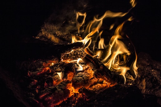 Glowing embers and flames dance around charred wood, creating a vivid and dynamic display of fire. The heat and energy radiate from the burning logs, casting flickering shadows.