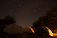 Campfire glowing warmly under a star-filled sky, surrounded by tents and tall pine trees.