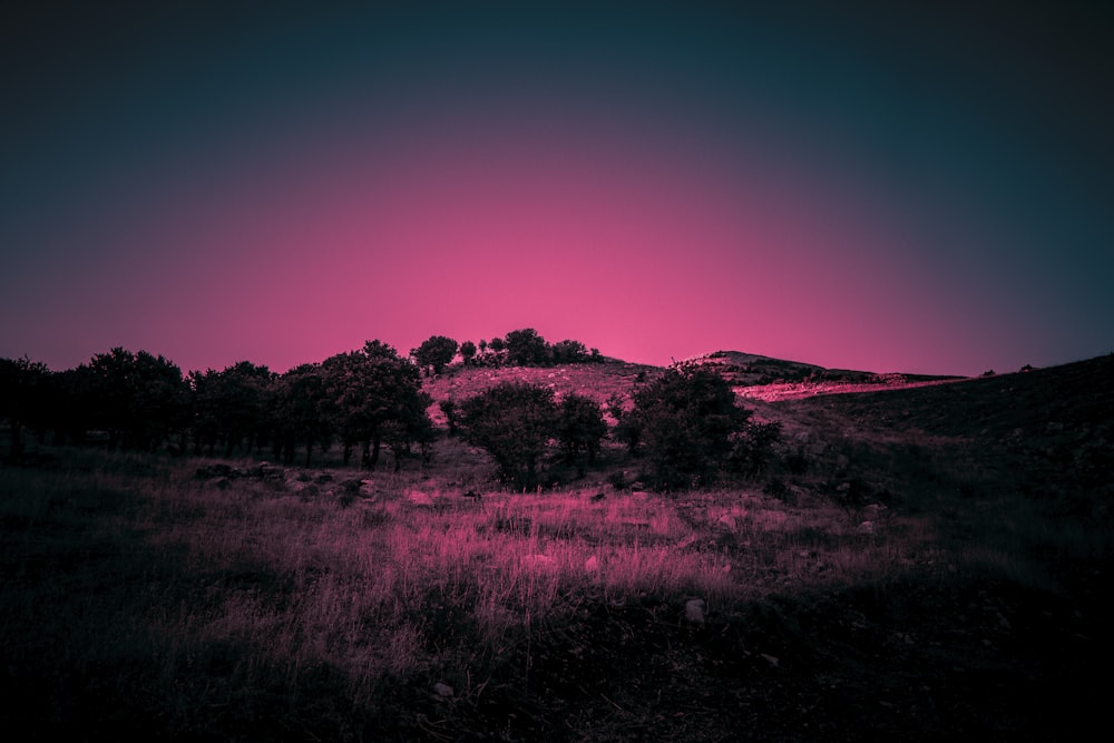 a field with trees and a hill in the background