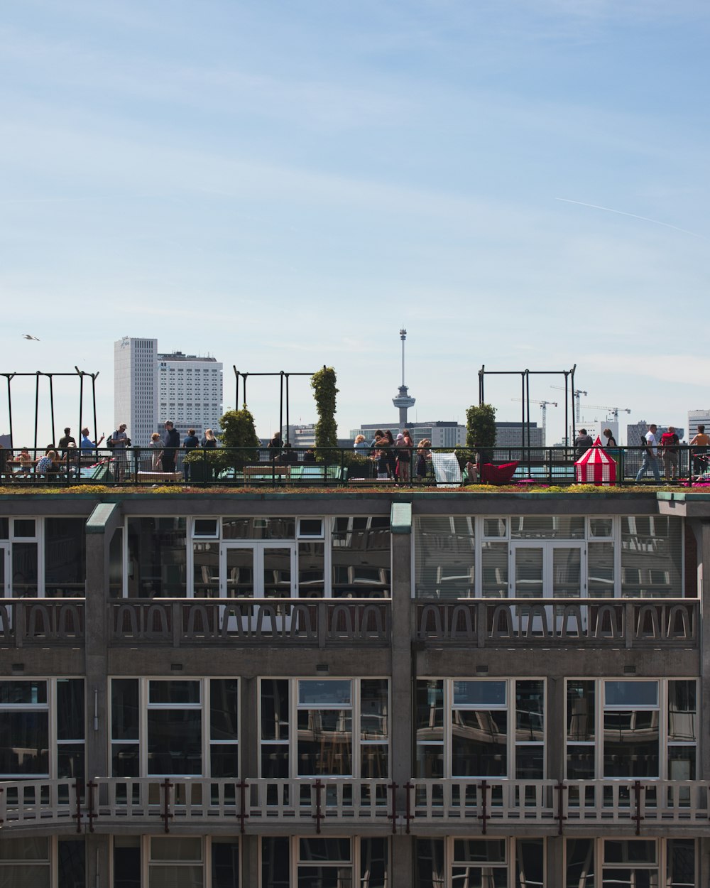 people on rooftop during daytime