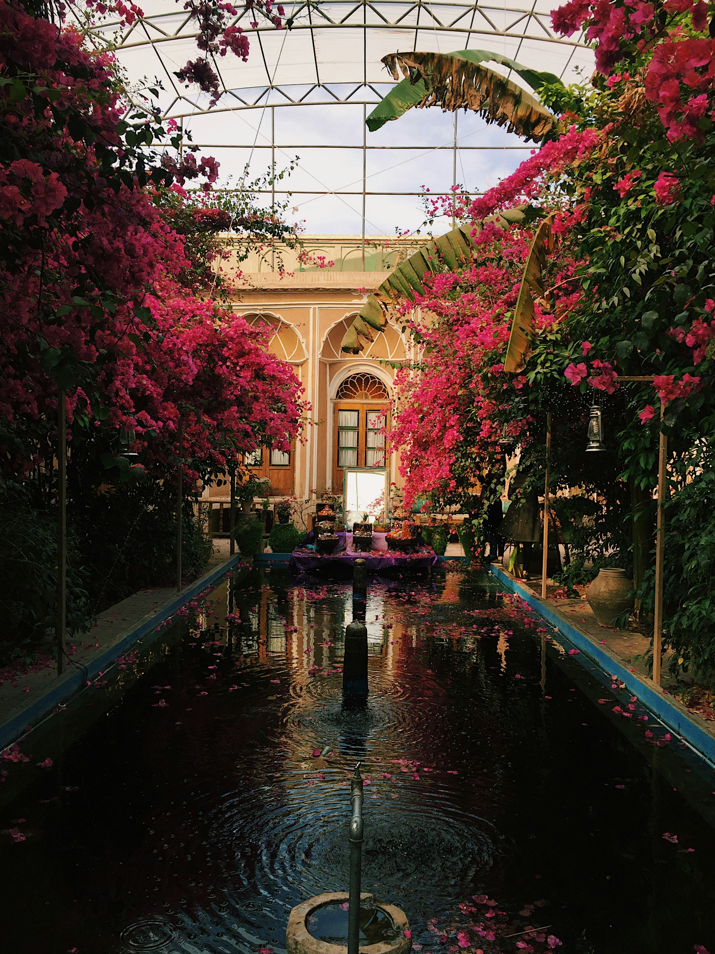 Wasserfontäne zwischen Bougainvilleen