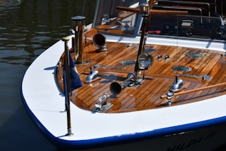 brown and blue boat