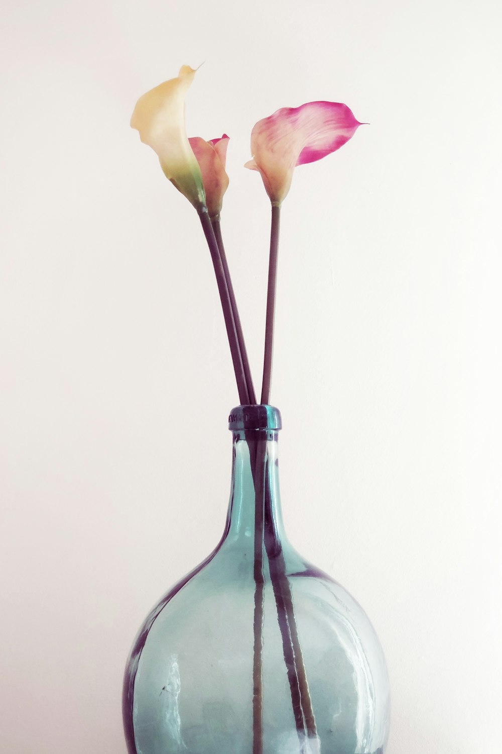 three yellow, pink, and orange flowers on glass vase bottle