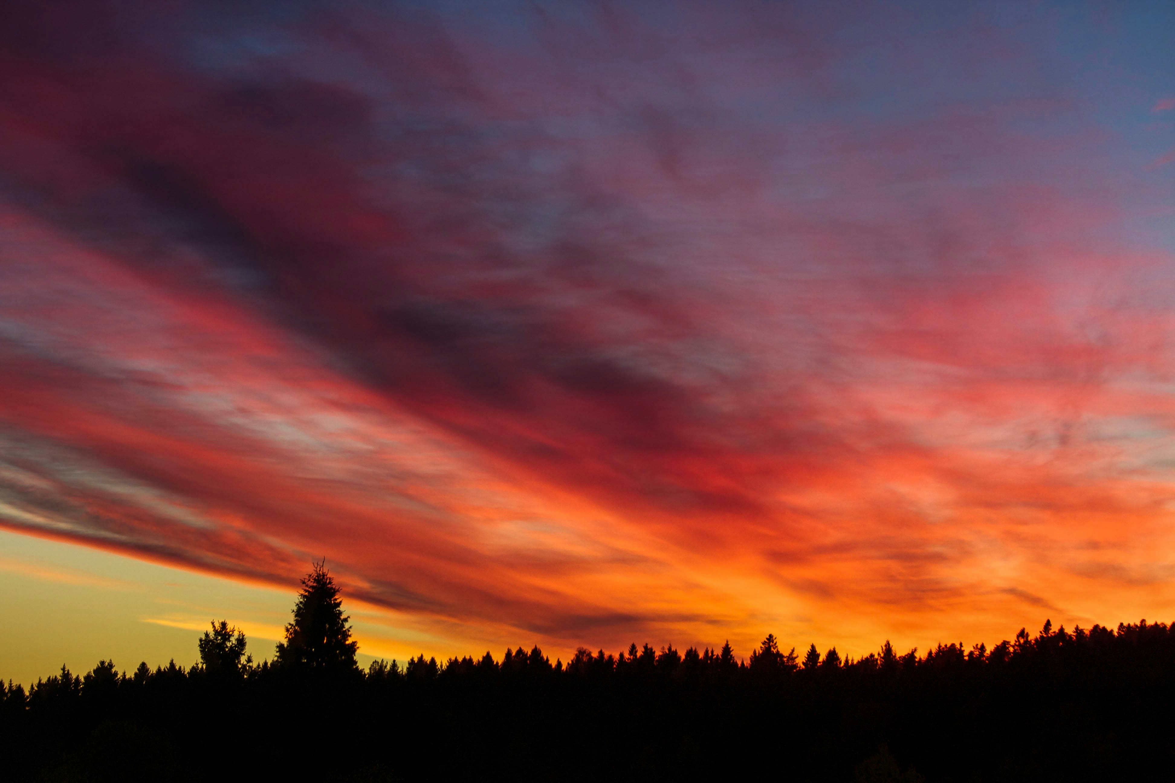 red and orange cloudy sunset sky over the woods