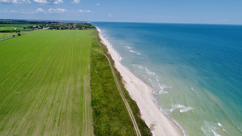 grass field and shore during day