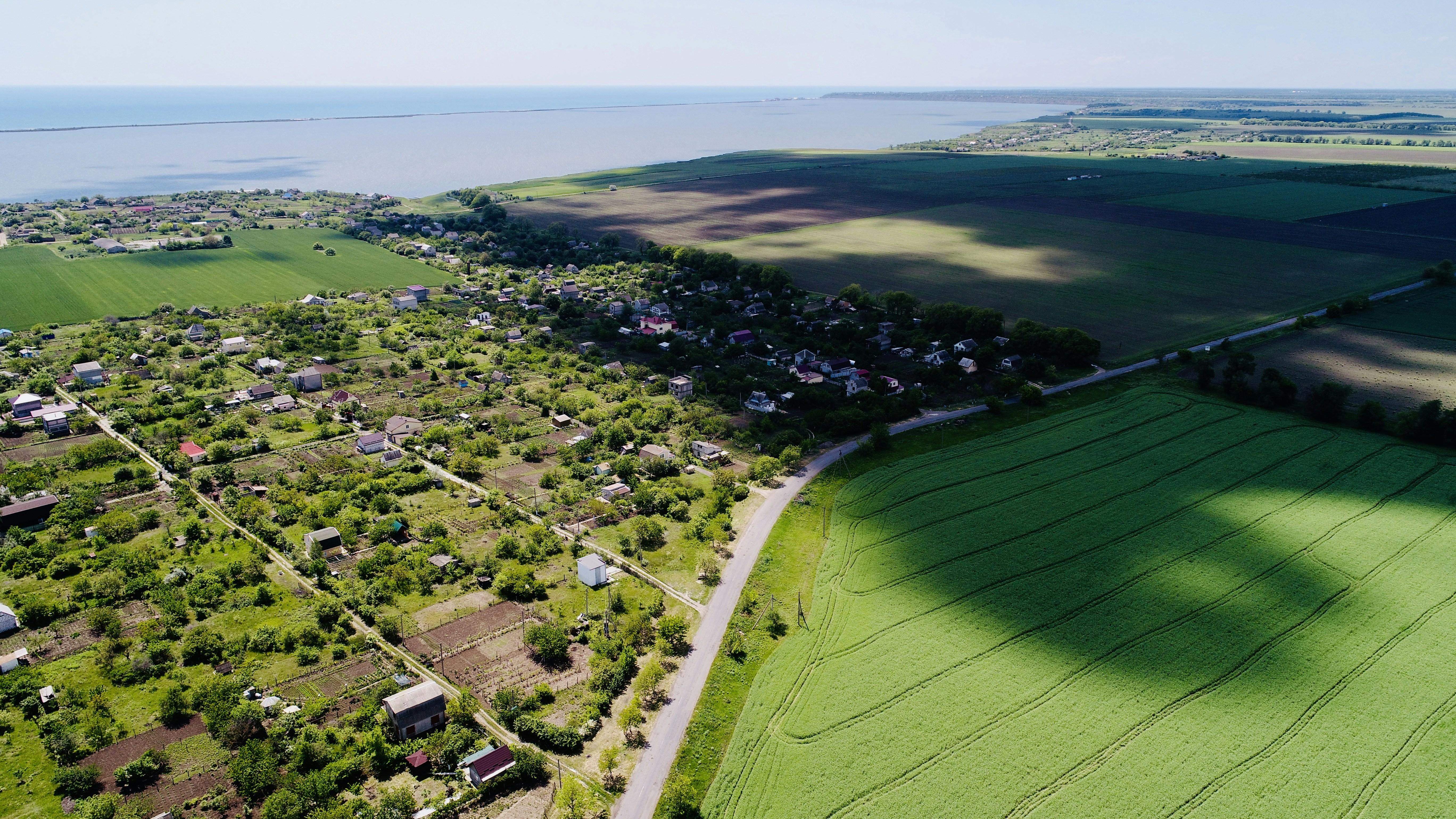 view of grass field during daytime